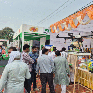 Green and Light Green Illustrative Garden Care Services LinkedIn Post (2)