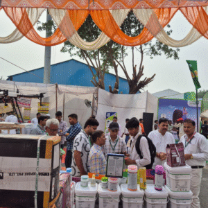 Green and Light Green Illustrative Garden Care Services LinkedIn Post