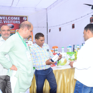 Green and Light Green Illustrative Garden Care Services LinkedIn Post (5)